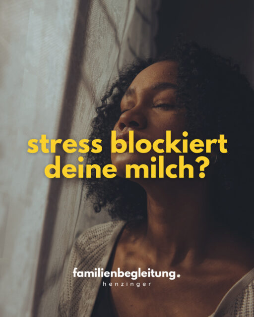 Alles was du über Stress beim Stillen wissen solltest - kurz & knackig in den Slides.

Wenn du mehr wissen möchtest oder gar ein Problem hast, melde dich gerne bei mir.

#stillen #stillberatung #milchspendereflex #oxytocin #familienbegleitunghenzinger